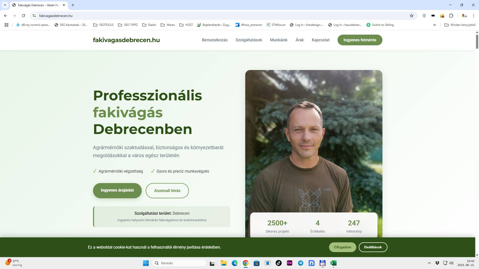Professzionális tuskómarás és fakivágás Debrecenben